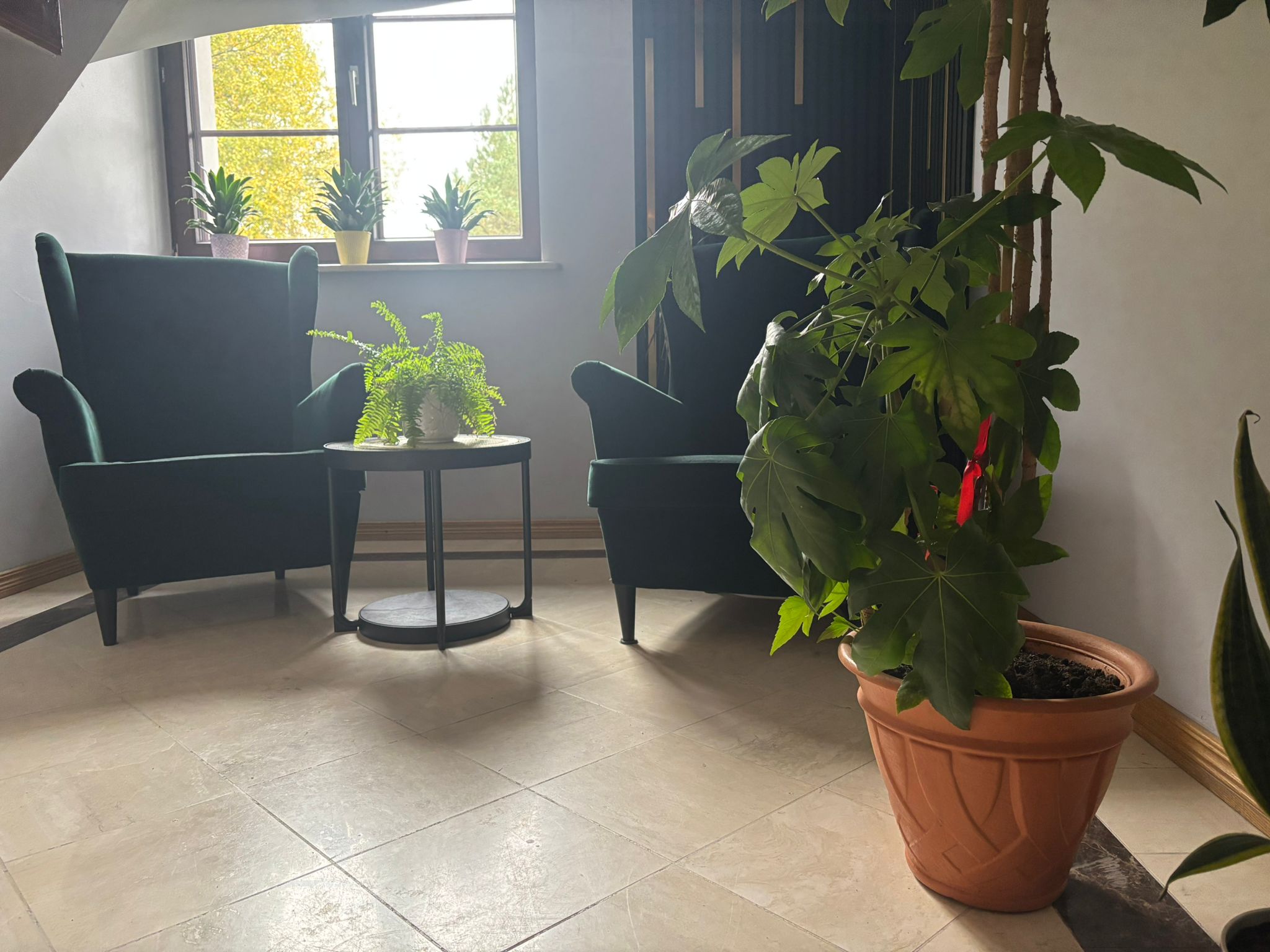 Ośrodek MyWay - sala